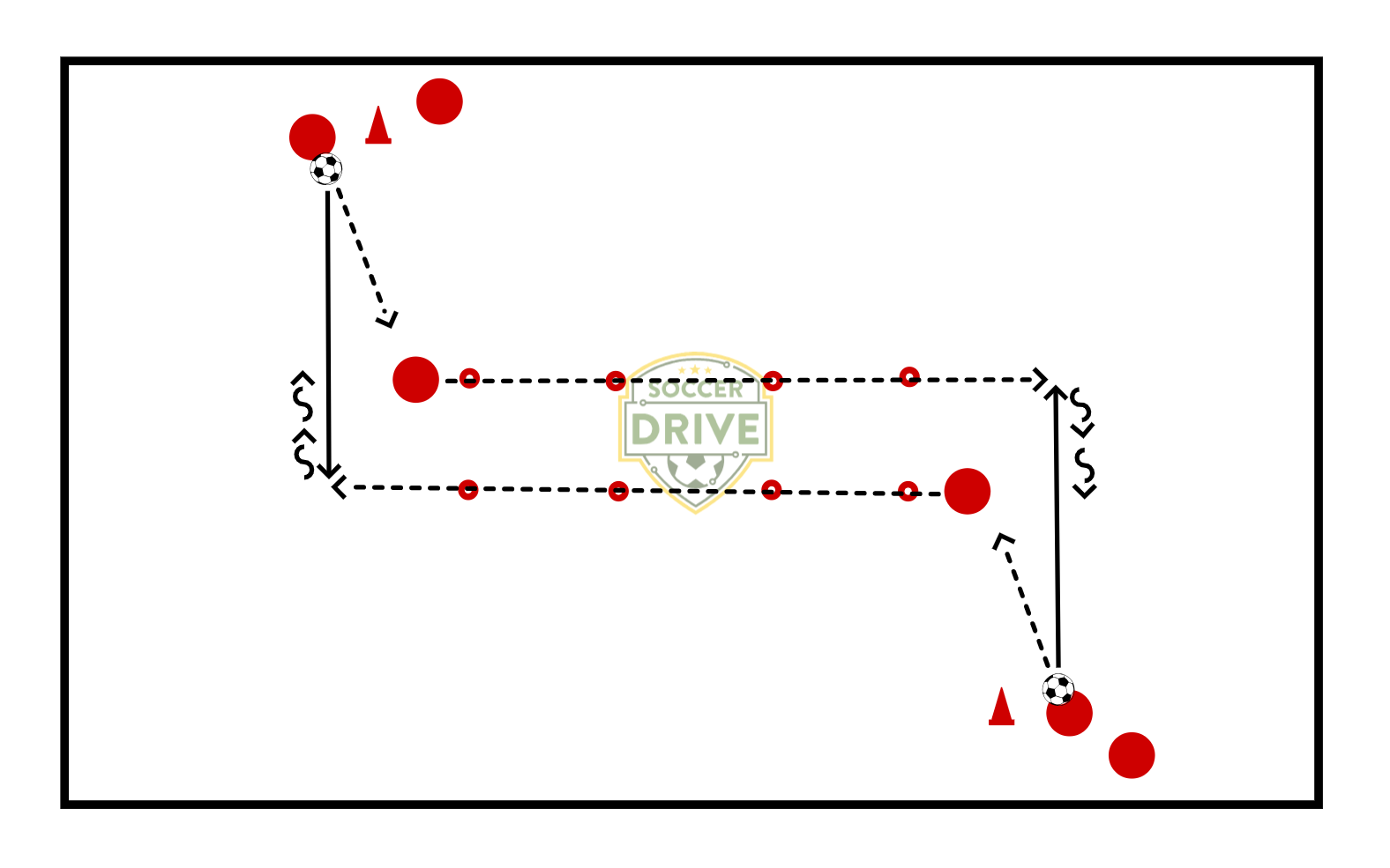 Agility/Speed Circuit          
