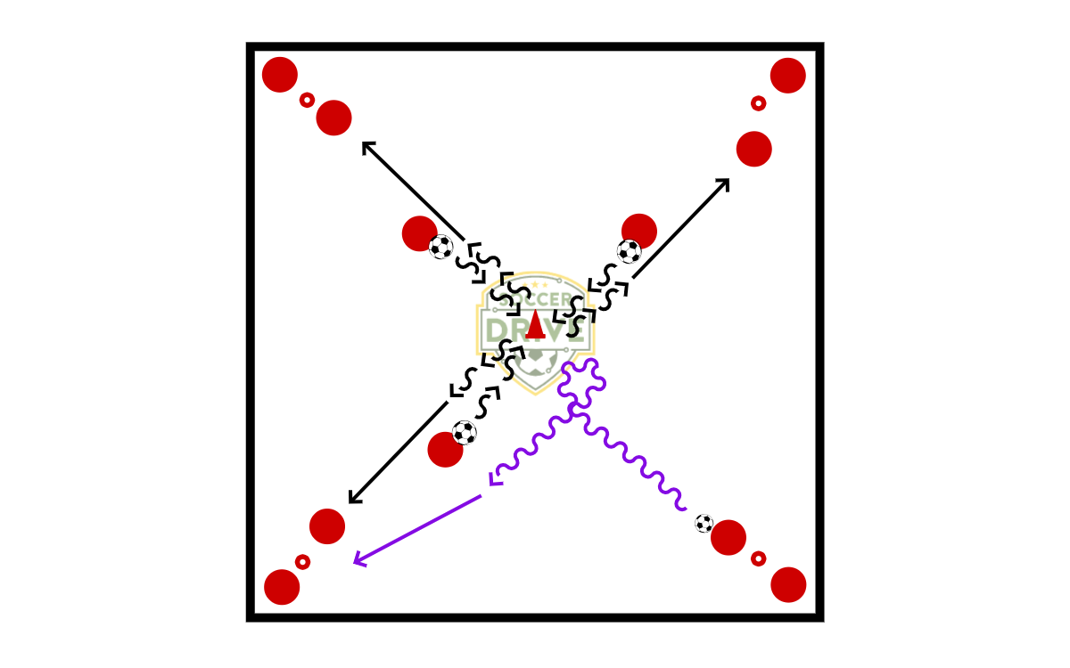 Dribbling Skills - The #5          